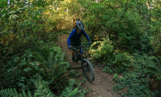 Mountain biker navigating forest trail with greenery.