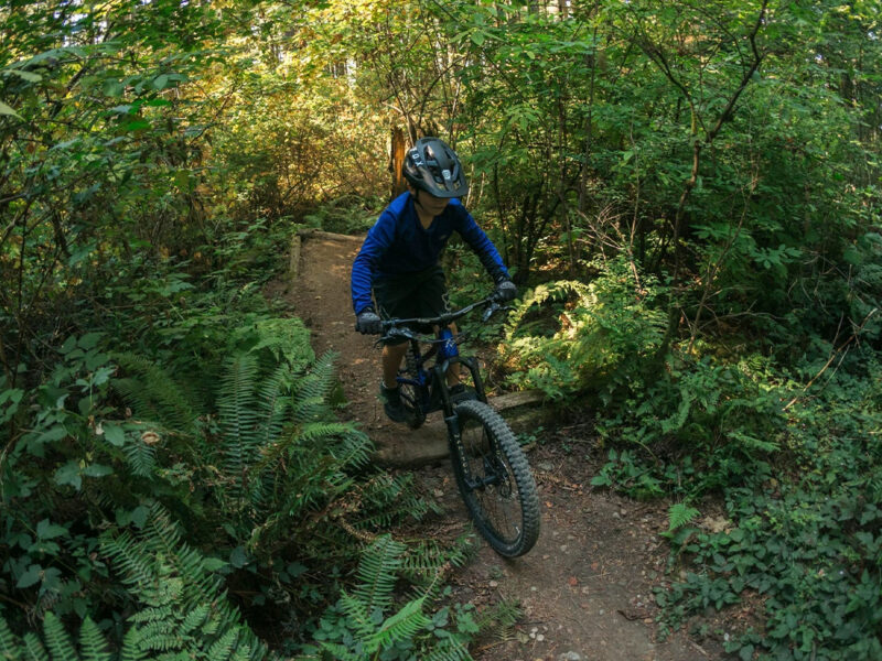 Mountain biker navigating forest trail with greenery.