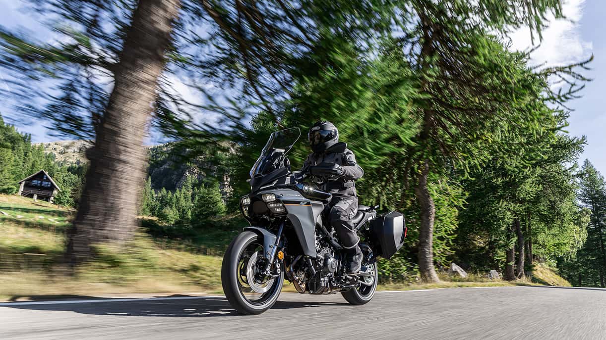 Motorcyclist riding through scenic forest road.